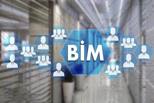 BIM造價咨詢服務(wù)的應(yīng)用 從信息整合到價值創(chuàng)造